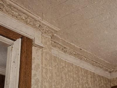 Crown molding installation project